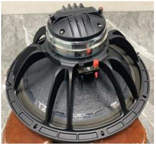 Пассивный 2-полосный сценический монитор REPLIC TMW112