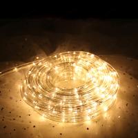 Гирлянда Round 2 wire Horizontal  LED Rope Light (длина 100 м, круглое сечение 13 мм, свечение синее)