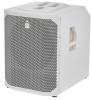Активный сабвуфер EV EVOLVE 70 Sub White
