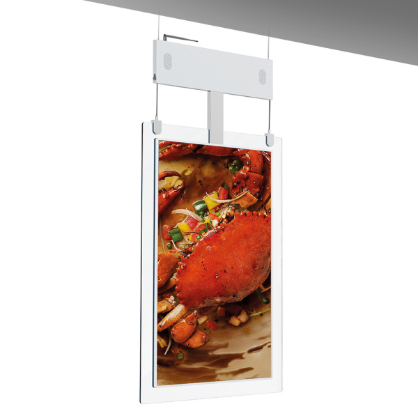 Led-постер Wango WG-43EG2-H