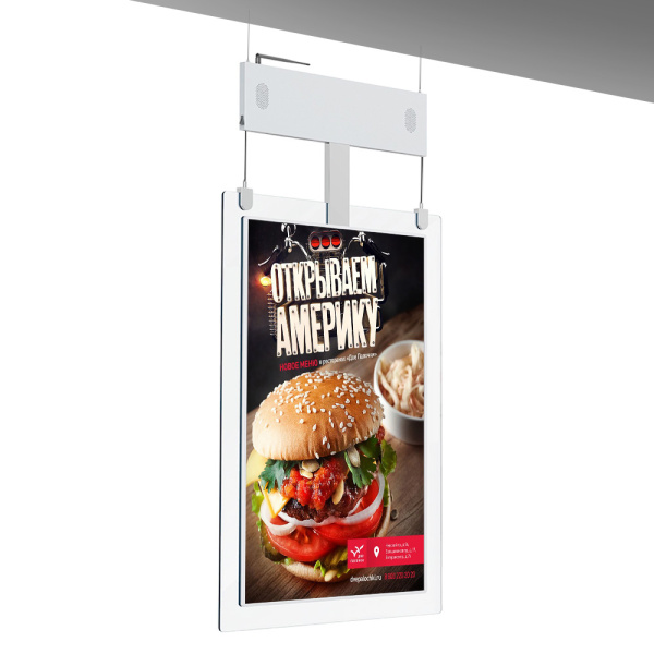 Led-постер Wango WG-43EG2-H